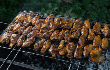 grilled chicken wings on the grill grate