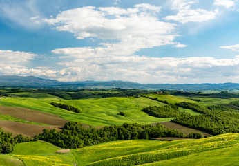 Fototapeta na wymiar Scenic landscape with green hills and tree in Tuscany