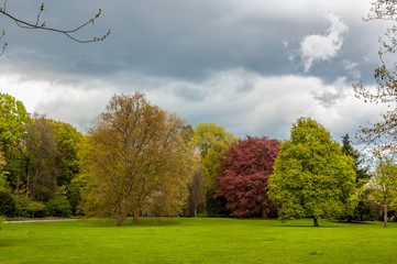Fototapeta premium Frühling im Park 04