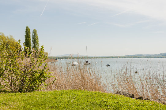 Murten, Murtensee, Seeufer, M&ocirc;tier, Stadt, Schloss Murten, Seerundfahrt, See, Festung, Sommer, Schweiz