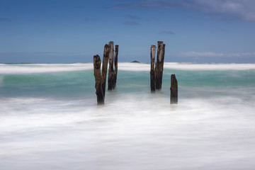 Wave Breaking/ an excellent wave peaks and breaks at Blackhead Beach, Dunedin, South Island, New Zealand