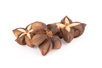 Sacha inchi peanut seed isolate on white background