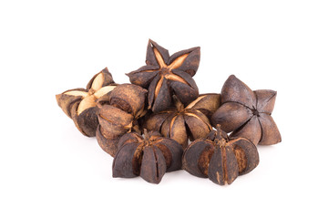 Sacha inchi peanut seed isolate on white background