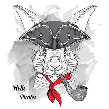 Image Portrait rabbit in a pirate hat and with tobacco pipe. Vector illustration.