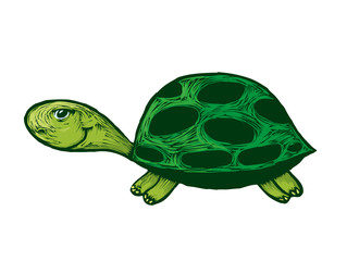 Smiling turtle cartoon