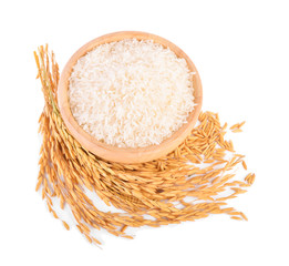 rice plants with white rice and unmilled rice isolated on white