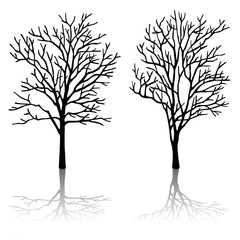 tree silhouette set