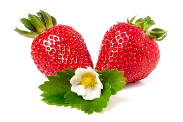 two strawberries with flower and leaves isolated on white background