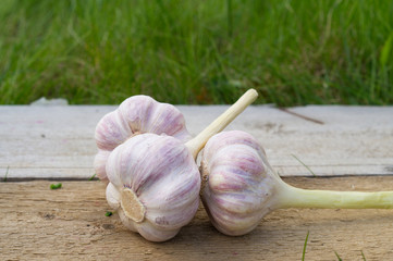 Fresh garlic on wooden table, natural light,green blurred background, rustic style.