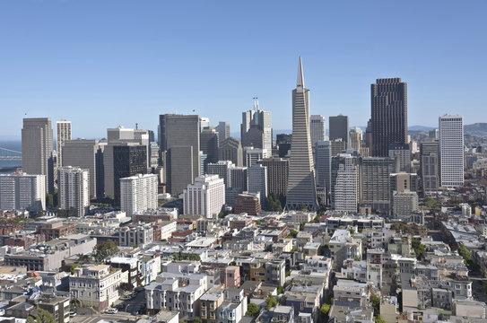 San Francisco Skyline And Residential Area.