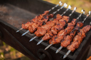 shashlik on a grill