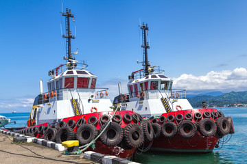 Marine tug in the port 