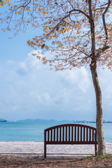 Fototapeta na wymiar Chair under the tree at seaside.