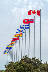 Obraz premium Picture of the canadian Flag along with the flags of the 10 Canadian Provinces and the 3 Canadian Territories, in Ottawa, Canada