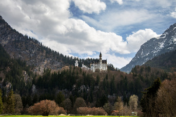 Fototapeta na wymiar Neuschwanstein castle