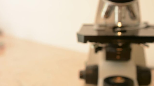 Laboratory doctor hands with sterile gloves using inoculation loop to isolate staphylococcus bacteria from blood agar infected this bacteria. Medical laboratory concept
