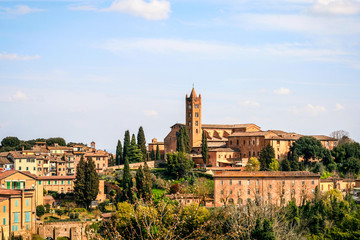 Naklejka na ściany i meble Siena - Toscana - Itália