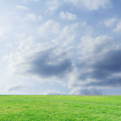 The landscap sky and grass on background