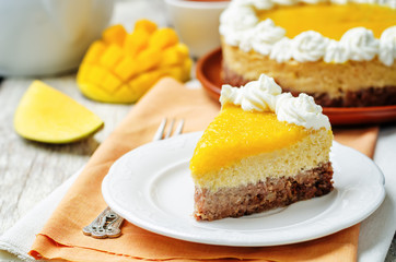 mango cheese cake decorated with whipped cream and mango puree