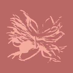 Abstraction. Background. Fluff.