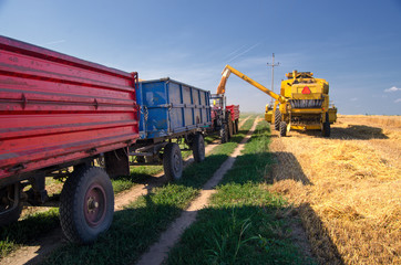 Harvester combine, tractor and trailers during wheat harvest