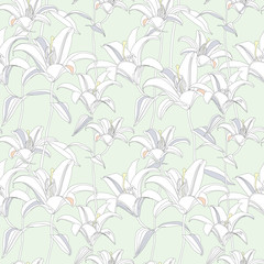 Floral seamless pattern. Flower lilies  background. Floral outline texure
