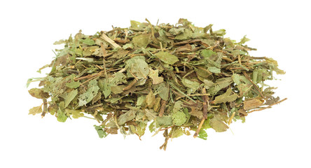 Dried bilberry leaf isolated on a white background