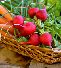 Spring vegetables in basket: radish, carrot and chives