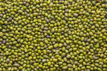 Many seeds (mung bean) 2