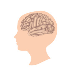 Human brain Child head silhouette with brain. Thinker concept 