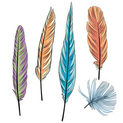 Feather isolated set. Ethnic style colored doodle feathers