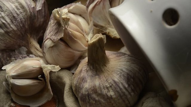 Allium sativum ነጭ ሽንኩርት Һарымһаҡ Чесън রসুন Aglio སྒོག་ལོག Garlic rosso Knoblauch red Ajo Valkosipuli Ail cultiv&eacute; लहसुन Fokhagyma ニンニク 마늘 蒜 Sarımsak กระเทียม Vitl&ouml;k Чеснок Czosnek pospolity Knoflook