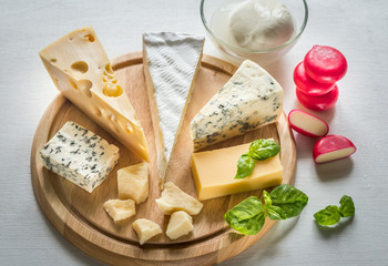 Various types of cheese