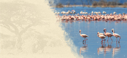 Fototapeta premium Flamingos on textured paper