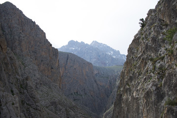 canyons, forests, snowy hills