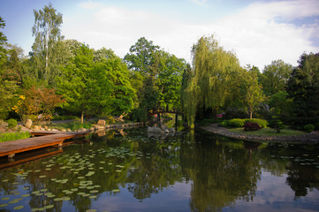 Fototapeta na wymiar Part of the pond in the Japanese garden