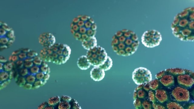 Angriff HPV Viren auf menschlichen Körper - Humane Papillom Virus