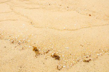sand on beach texture