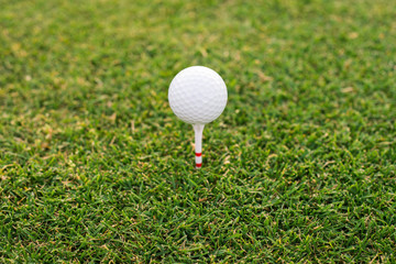 Golf ball and tee in golf course.