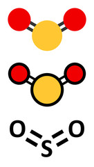 Sulfur dioxide food preservative molecule (E220). 