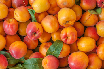 Background of many orange peaches on market stall