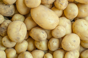 Background of many yellow potatoes on market stall