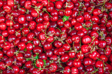 Background of many red cherries fruit