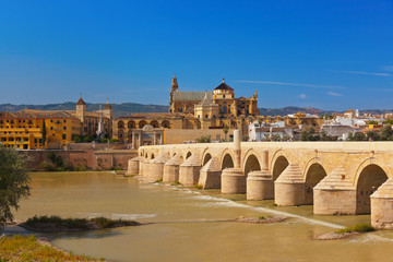 Obraz na płótnie Canvas Bridge at Cordoba Spain