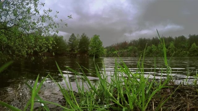 Rainy river picturesque coast virgin forest nature rock