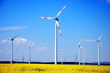 Windpark, Windräder in Rapsfeld