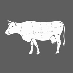 Cuts of beef vector illustration