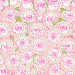 background from pink roses