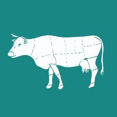 Cuts of beef vector illustration