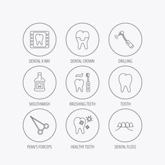 Stomatology, tooth and dental crown icons.